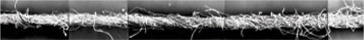 オープンエンド糸の顕微画像
