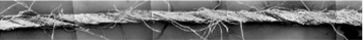 リング糸の顕微画像